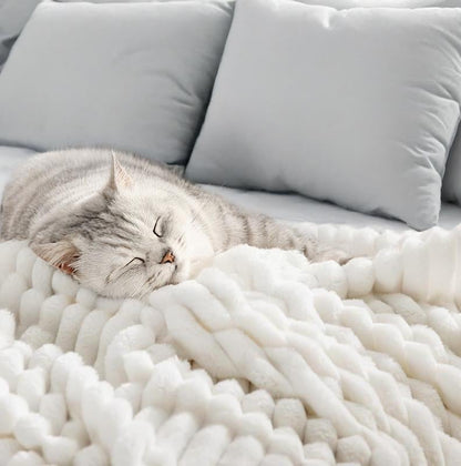 ⛄2026 Hot Sale 🔥Popular Thickened Plush Nap Blanket